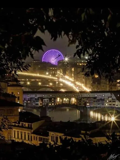 Borgognissanti Ollie'S Home In Centro A Firenze
