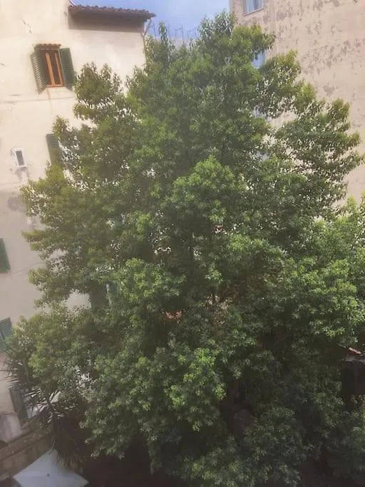 Borgognissanti Ollie'S Home In Centro A Firenze